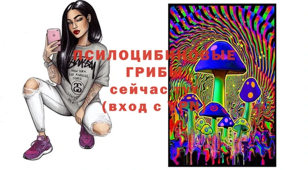 a pvp Алзамай