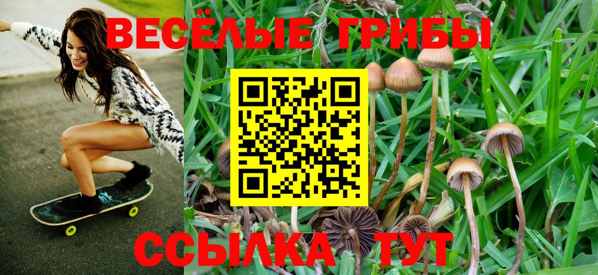 Галлюциногенные грибы GOLDEN TEACHER Тобольск